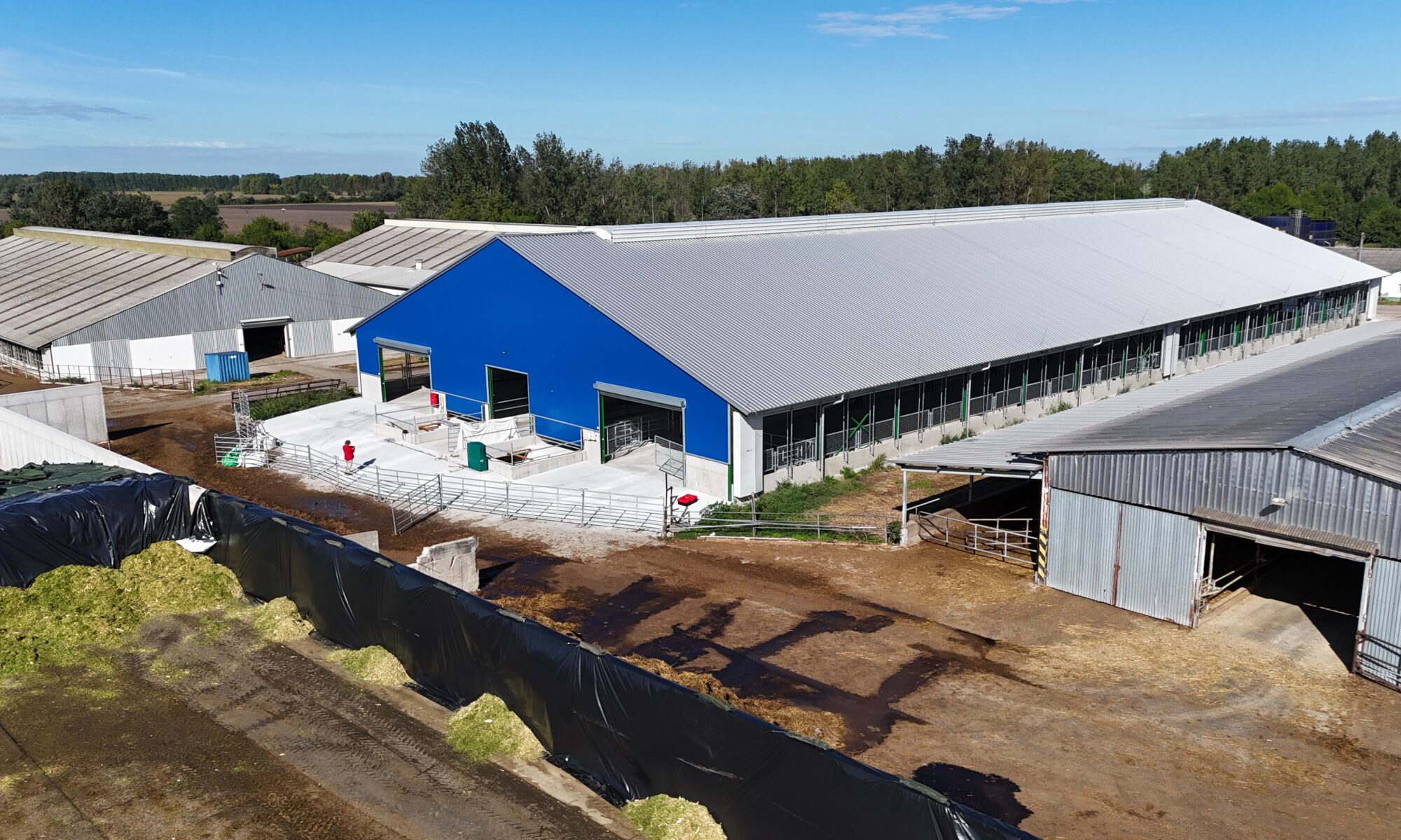 Agrocoop Imeľ, Novostavba maštale K250